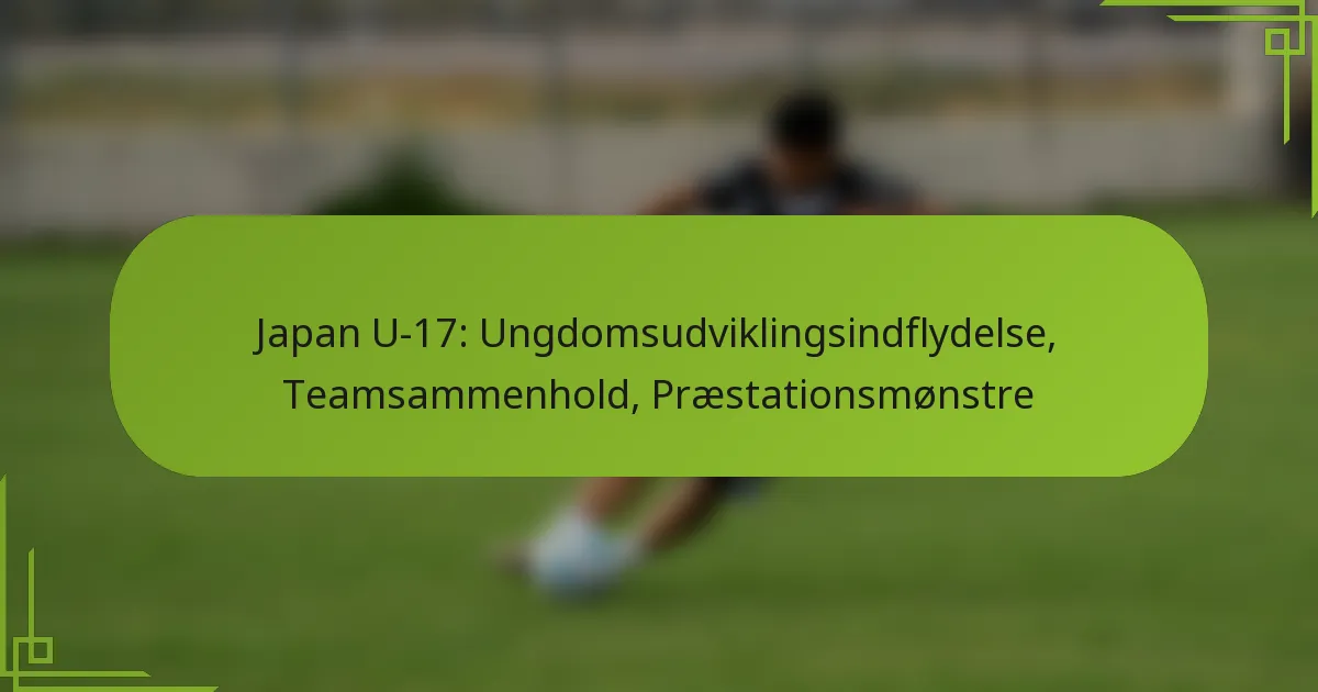 Japan U-17: Ungdomsudviklingsindflydelse, Teamsammenhold, Præstationsmønstre