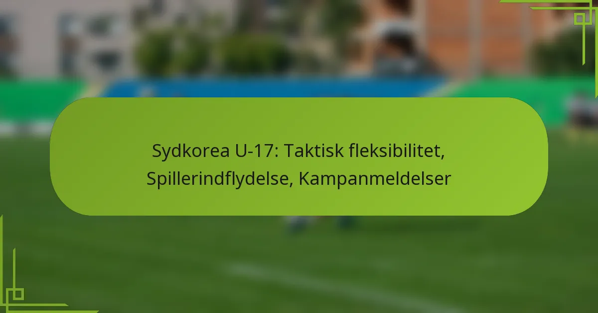 Sydkorea U-17: Taktisk fleksibilitet, Spillerindflydelse, Kampanmeldelser