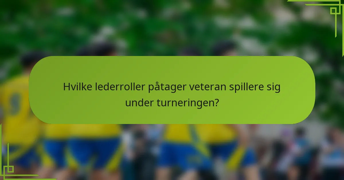 Hvilke lederroller påtager veteran spillere sig under turneringen?