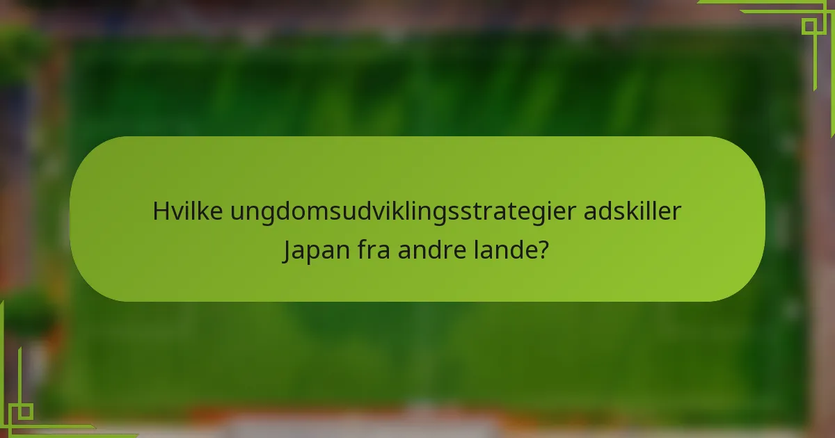 Hvilke ungdomsudviklingsstrategier adskiller Japan fra andre lande?
